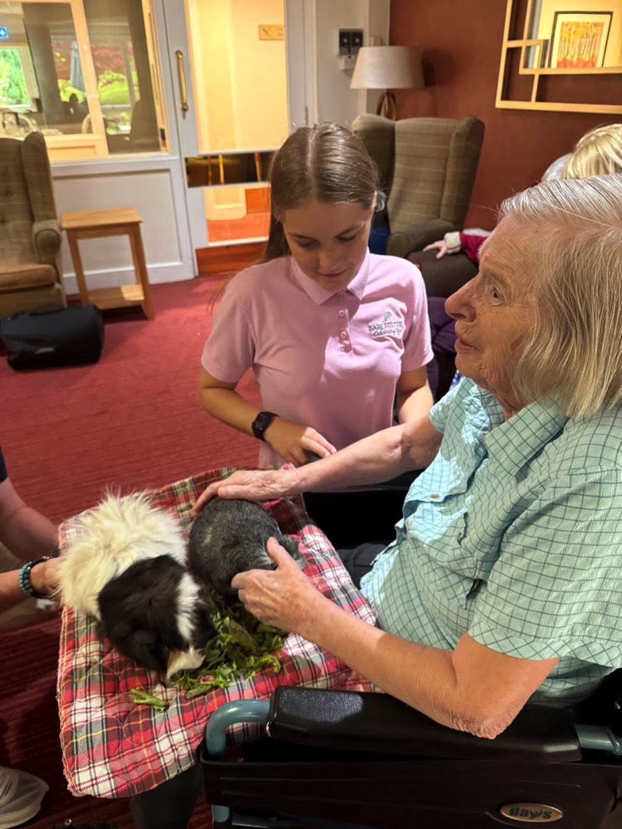 Visiting guinea pigs