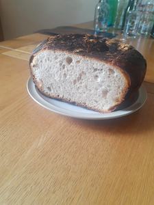 Sourdough (1)